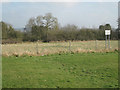 Site of Dingleside Middle School, Woodrow North, Redditch