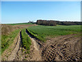 Fields off Ragmans Lane