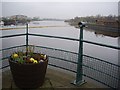 NZ4619 : Flower Tub at Tees Barrage by Stanley Howe