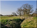 Footbridge across a stream in the Wey flood-plain