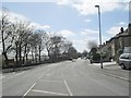 Track Road - viewed from Grangefield Avenue