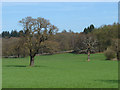 Farmland, Sunninghill Park