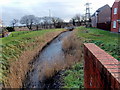 Ffynnon-wen Reen south of Oystermouth Road, Newport