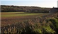 Field near Roborough