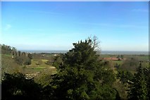 SS9943 : View north east from Dunster Castle by nick macneill