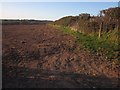 Field by West Road