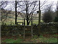 Footpath towards Hill Top