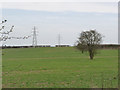 Former field boundary near Normanton