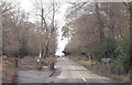 Entering New Forest at Emery Down