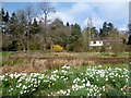 Elizabeth Daryush Memorial Garden