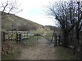 SO9924 : Entering Prestbury Hill Reserve by Ian S