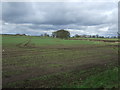 Farmland near Ouston