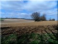 Farmland near to Offley Chase