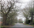 Sandy Lane at Abbotswood Nursery