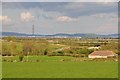 Sedgemoor : Countryside Scenery