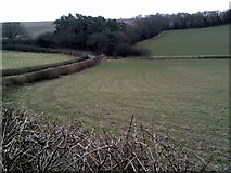 SP9402 : Herbert’s Hole, Chilterns Link path by Peter S