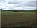 Farmland, Oatens Bank