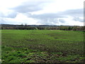 Farmland, Mount Huly