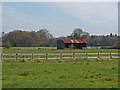 SU9454 : Farmland near Pirbright by Alan Hunt