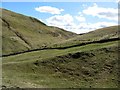 Pasture north of Fulhope Burn