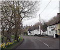 Thatched cottages on A346 at Collingbourne Ducis