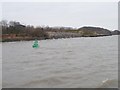 Green navigation buoy, Eastham Channel