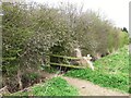 A path through blackthorn