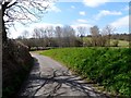 Lane near Stagenhoe Bottom farm