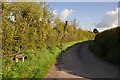 West Somerset : Yearmoor Lane