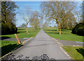 Driveway to Thame Park House