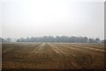 Large fallow field in the mist