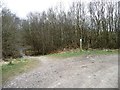 Path into Watermills Wood, Apedale Country Park