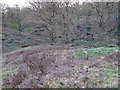 Heather Hills Nature Reserve, Little Baddow