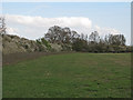 Oxley Meadow - North Field, Tolleshunt Knights