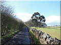 Cotswold Way at Greenway Lane