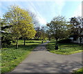 Path through Salt Hill Pleasure Grounds, Slough