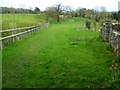 The Orange Way in Wiltshire (100)