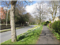 Springtime, Castle Howard Road