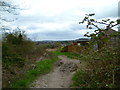 The Orange Way in Wiltshire (135)