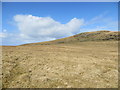 NR7553 : Sheep grazing on the moorland below Creag Loisgte Talatoll by John Ferguson