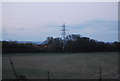 Pylon on the edge of Paddock Wood