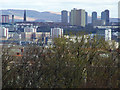 Red Road Flats from Queens Park