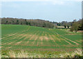 SJ7923 : Farmland north-east of Norbury, Staffordshire by Roger  D Kidd