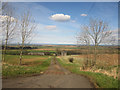 The lane to Chesters, near Belford