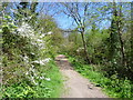 The London LOOP at Old Malden