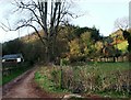 Public bridleway to Moor Wood, Minehead