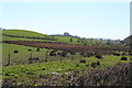 Farmland at Glenluie Bridge