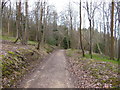 The path above Woodlands Farm