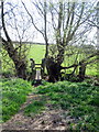 Stream crossing for the path to Leckhampstead