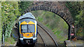 Train and bridge, Marino, Holywood